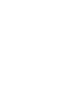 logo-CAV-V-branco